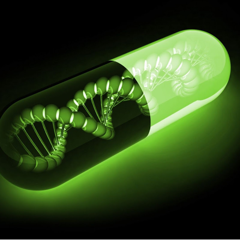 CRYPTO DNA