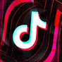 TikTok VIDEOS logo
