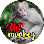 Alit Monkey