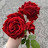 @homesweethome550