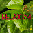 RELAX 154