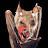 @reaperskeepers Avatar