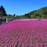 evPqAJhbzww-channel-avatar-ぜっと旅