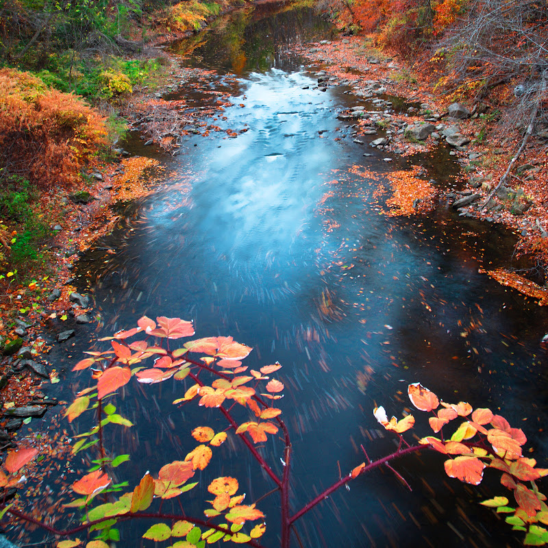 Dreamscapes for Mediation and Tranquility 