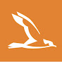 Shearwater logo