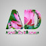 T5WnHaeLZfg-channel-avatar-Article Dhamma
