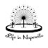 iSgdwkPJgsg-channel-avatar-Life In Naperville