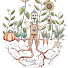 bBmP6R5MgAg-channel-avatar-The Weedy Garden