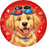 ec6aR62wtuw-channel-avatar-Dogdipiti