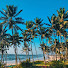 Yo4yDUvlyMQ-channel-avatar-Colours of Konkan
