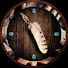 VauHaT0QrjE-channel-avatar-The Wilderness Philosopher