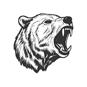 Bear bros
