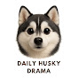 Daily Husky Drama