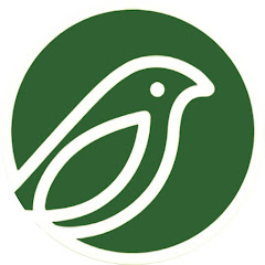 Kingsyard Birds
