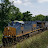 Mountaineer Railfan