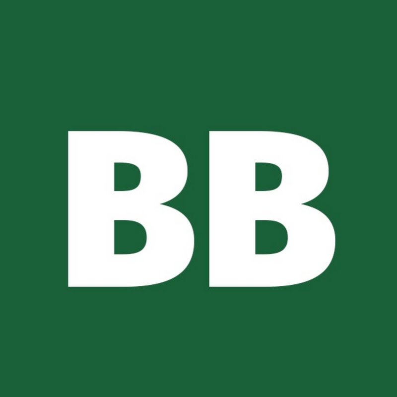 Business Burmese Logo