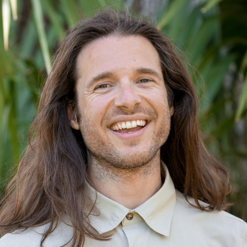 Navarre's Wild Shots