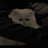 @هبة_15ه