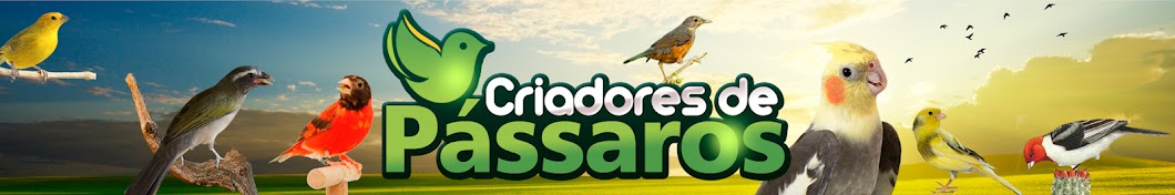 CRIADORES DE PÃSSAROS OFICIAL YouTube 频道头像