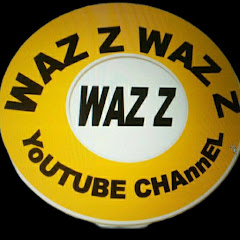 waz z channel logo