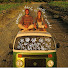 jePHrmQKH8I-channel-avatar-Rodar Latinoamerica