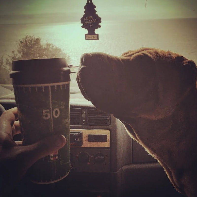 Cap'tain Nomade ☠︎︎