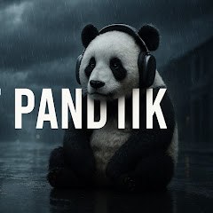 Lost Pand1k