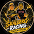 W-j2Rb4-qiI-channel-avatar-SKÅLBERG RACING
