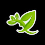xbpN9hhb0o4-channel-avatar-Relaxing Music Zenflow