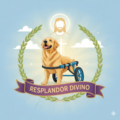 Resplandor Divino