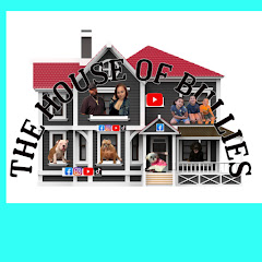 THE HOUSE OF BULLIES net worth