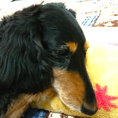 お遍路さん気象状況速報チャンネルアイコン画像