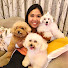 Psxb4w44kjA-channel-avatar-The Poodle Mom