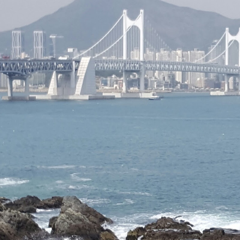 Blue Korea  ASMR