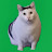 猫ミームで学ぶ
