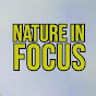 NatureInFocus logo