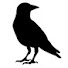 SfZqhl97II0-channel-avatar-Crow