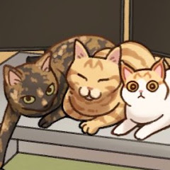 だんもみ / DanMomi