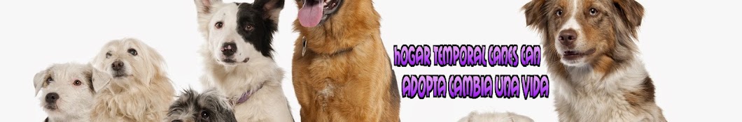Hogar Tempora Canes Can YouTube channel avatar