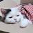 @8cookie_cream8