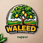 Waleed Organic Mango Farm logo