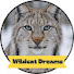 XRaUXR3aPZ8-channel-avatar-Wildcat Dreams