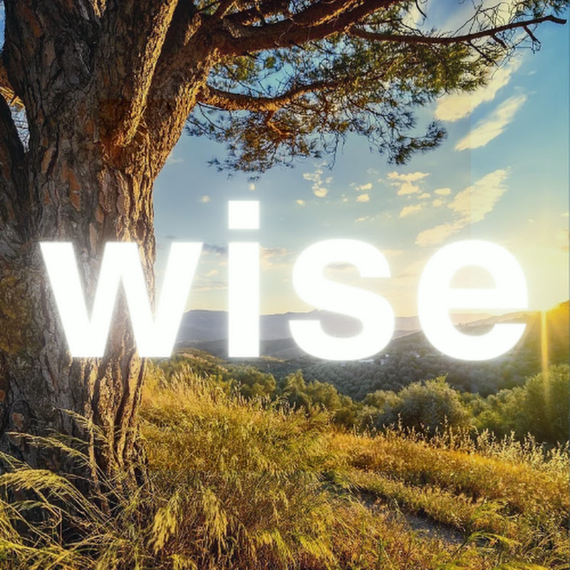 Investorwise