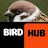 @BirdHub_H