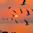 @OmarAlbarghsh