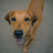 @MasterPuppyGaming