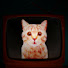 qT_O00cuvOI-channel-avatar-Glass of Water