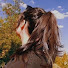 jvxohcJqTZc-channel-avatar-Priyanka Lifestyle 