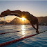 fF3bvHP7JMg-channel-avatar-SwimSport