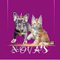 Nova's Royal Pets - @NovasRoyalPets-hc4ds - Youtube